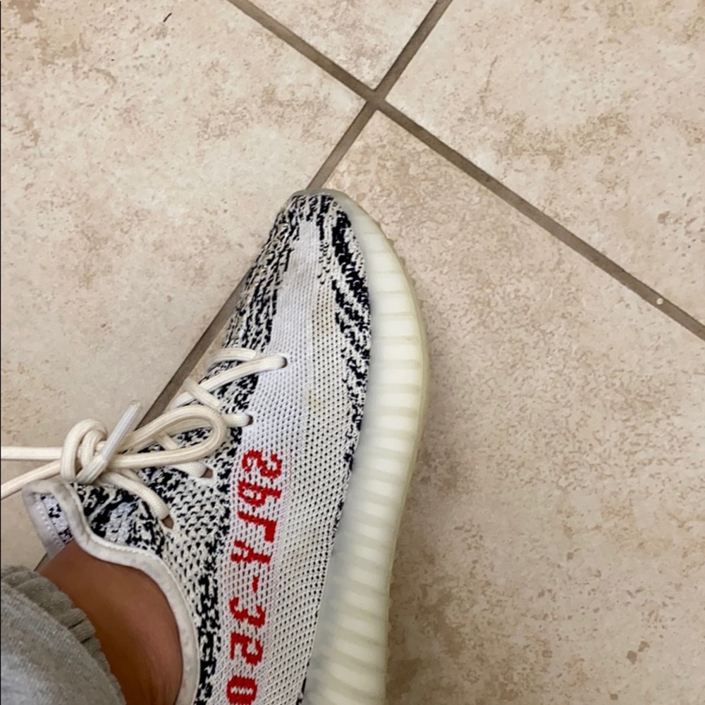 Zebra yeezys